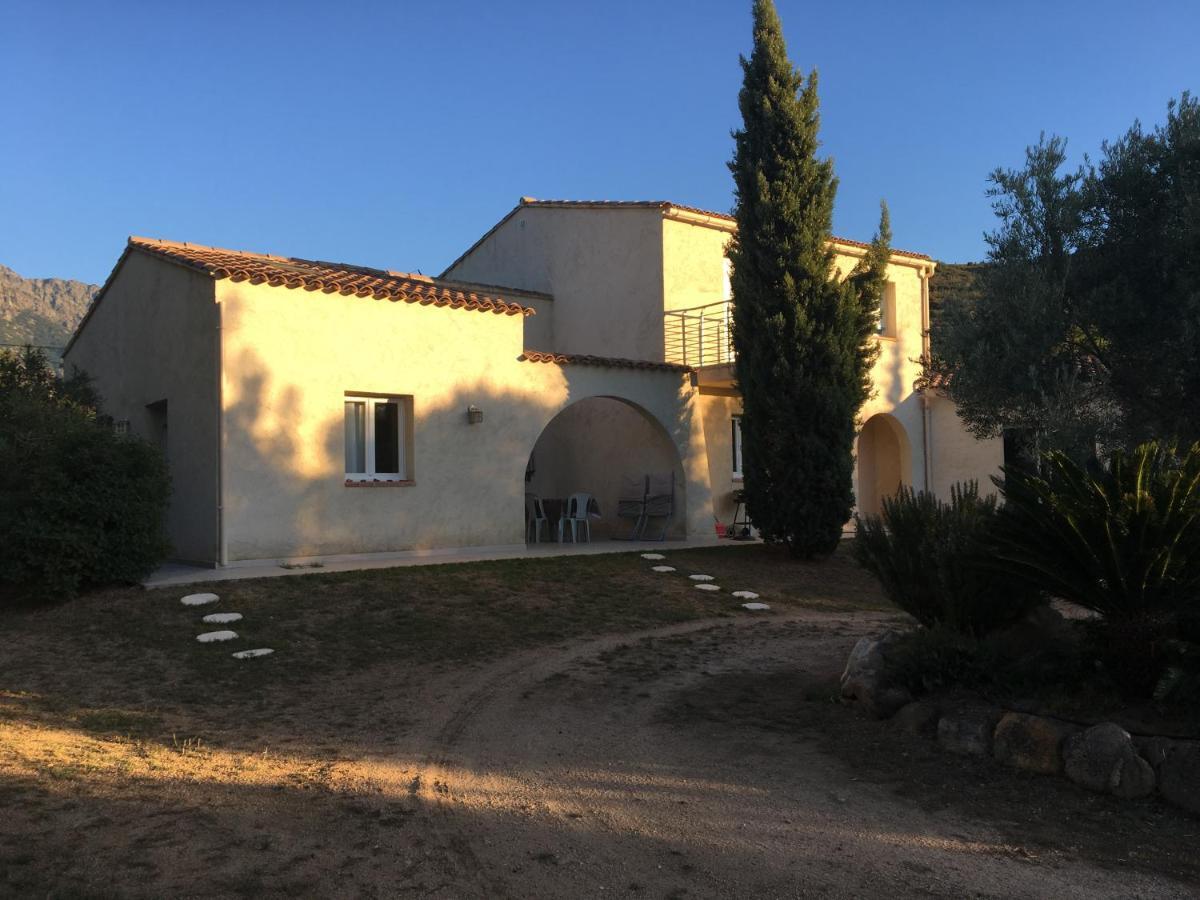 Studio Pinzali Avec Mezzanine Calenzana Exterior foto